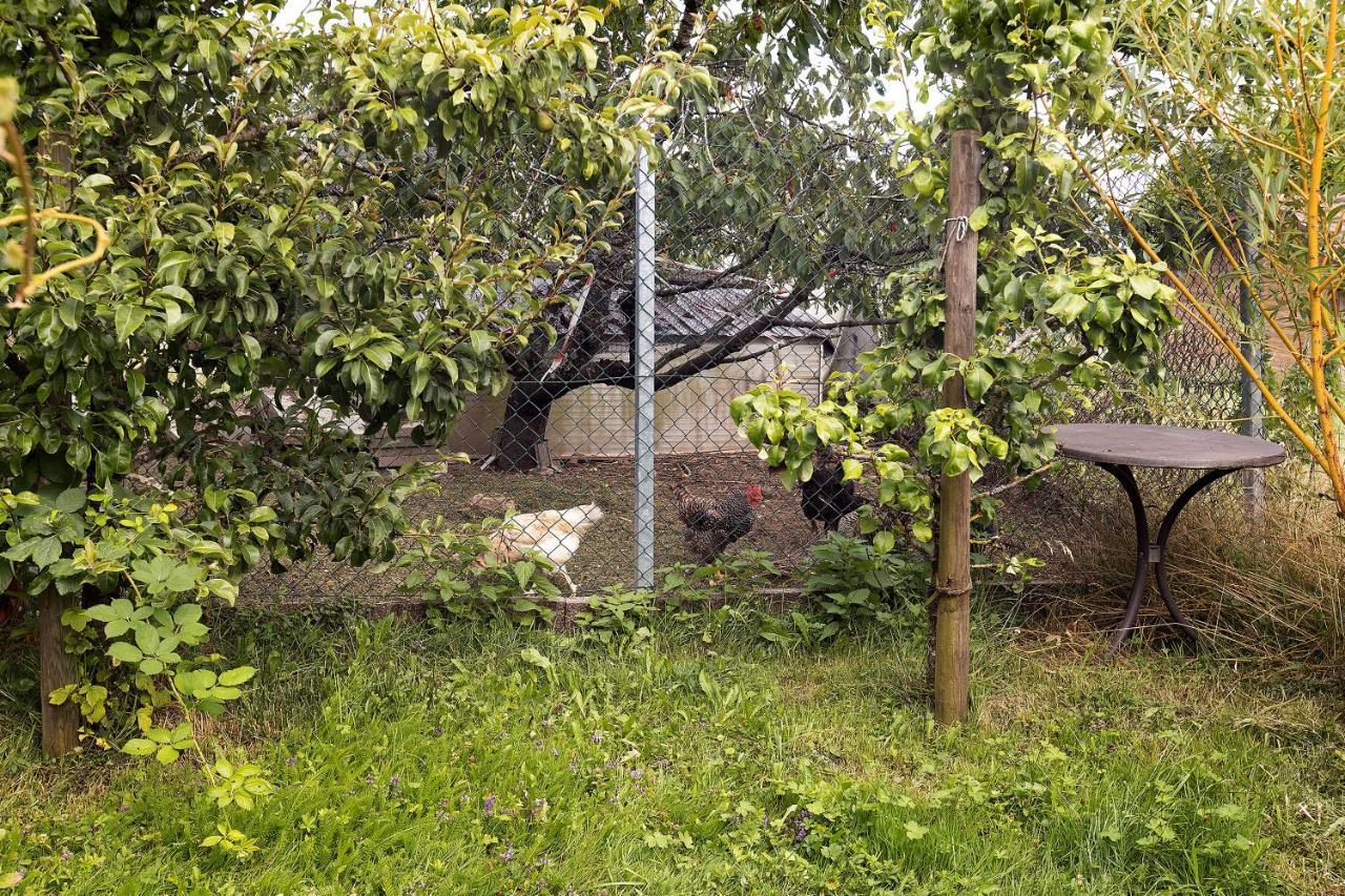 Zum Haselbach Apartment Weilheim Bagian luar foto